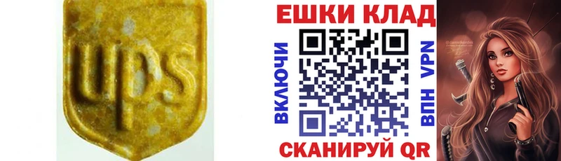 как найти закладки Медвежьегорск mega ТОР ЭКСТАЗИ louis Vuitton