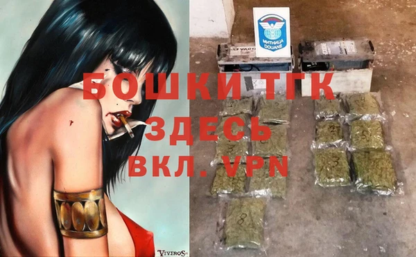 стаф Корсаков