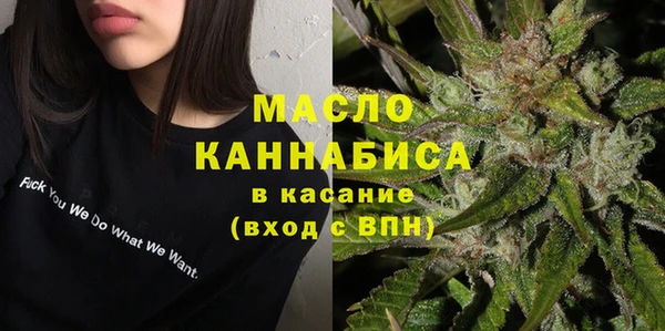 стаф Корсаков