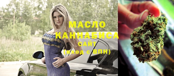 стаф Корсаков