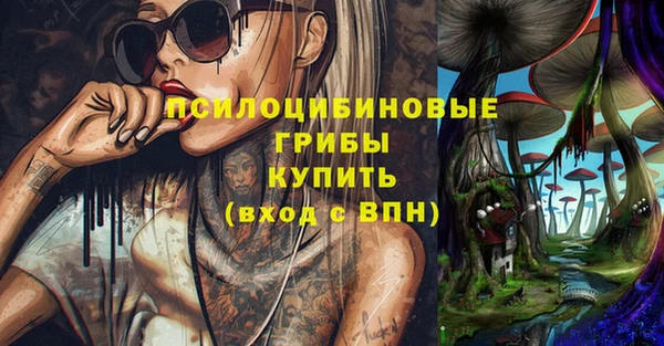 стаф Корсаков