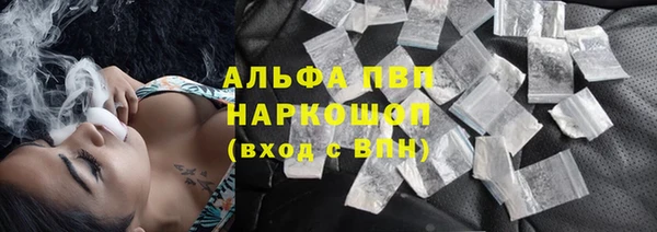 стаф Корсаков