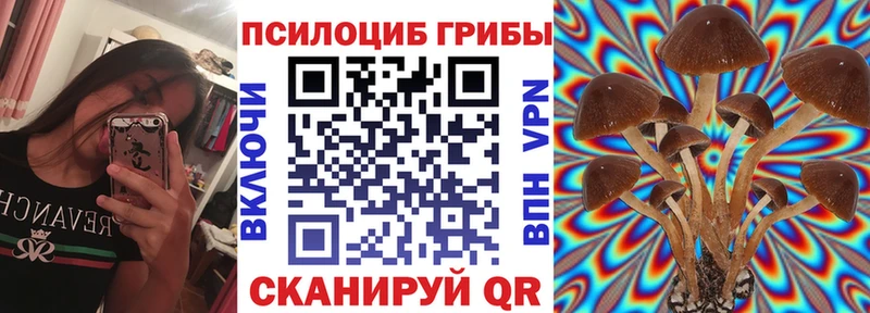Галлюциногенные грибы мицелий  Медвежьегорск 